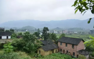 解析：一个调研者的亲述：触目惊心的中国农村现状